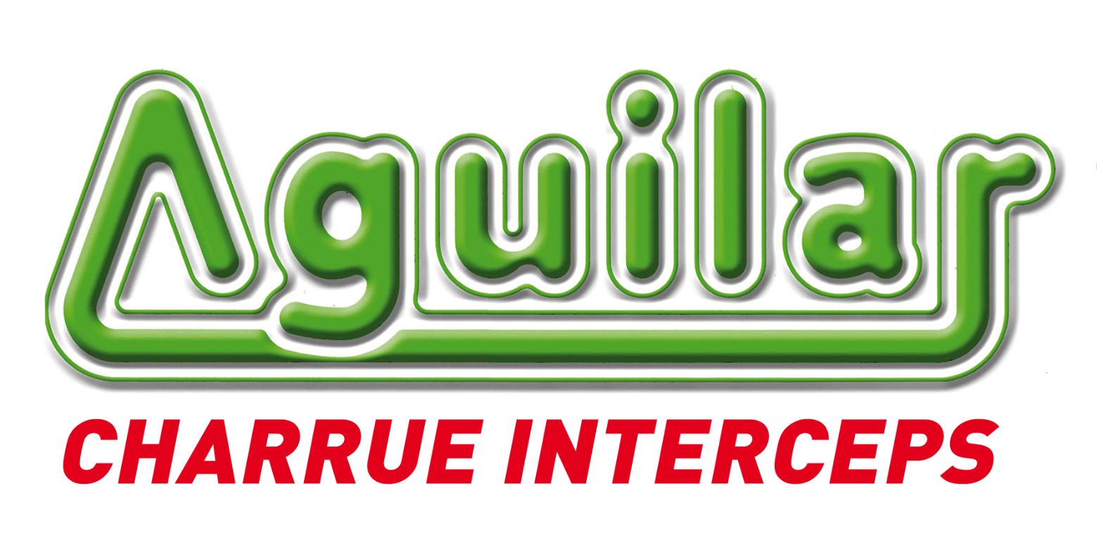 Logo Aguilar